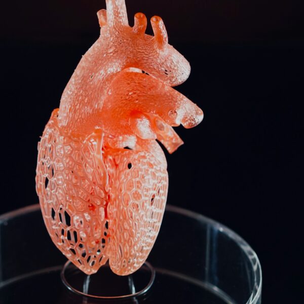 Impressão 3D de Órgãos Humanos: O Futuro dos Transplantes