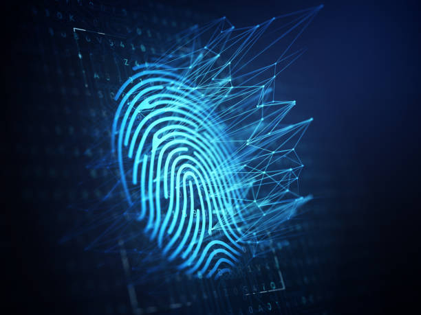Por Que Temos Impressões Digitais Únicas? A Ciência por Trás das Digitais